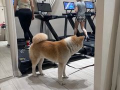 -YCHL Studios健身工作室(市二宫店)