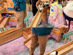 -正佳雨林生态植物园
