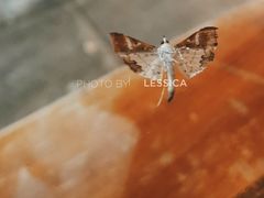 -RUMORS COFFEE ROASTERY鲁马滋咖啡(湖南路店)
