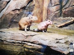 -波塞冬旅游度假区