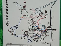 -鬼笑石后山停车场