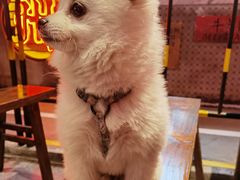 -万达文华酒店·48F云端窗景美食汇自助餐厅