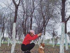 -洨河生态公园
