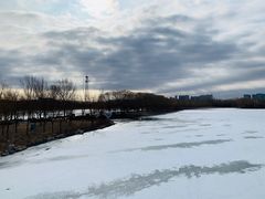 -大兴滨河森林公园