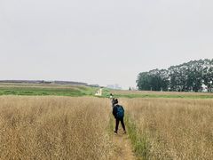 -光明小镇欢乐田园