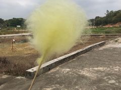 -三泉湾侨文化主题餐厅