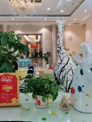 -同远QQBABY亲子摄影(北京路店)