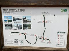 -磬锤峰森林公园