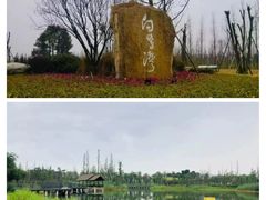 -白鹭湾湿地公园