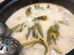 胡椒猪肚鸡-捞旺猪肚鸡(街道口店)