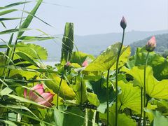 -南北湖风景区