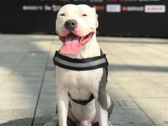 -深圳湾创业广场