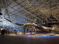 -世界恐龙谷景区