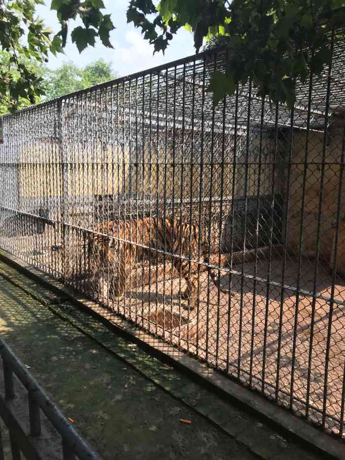 渭濱公園動物園-