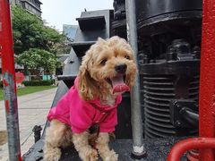 -广九铁路纪念园