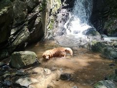 -藏龙百瀑风景区