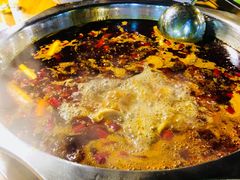 -金鼎雪山牦牛杂火锅(理县总店)