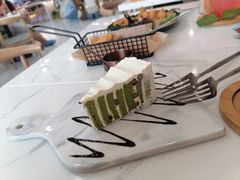 -喵园·猫主题咖啡厅·撸猫·猫咖(国贸店)