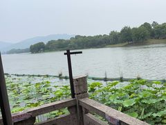 -湘湖大院(越王路店)