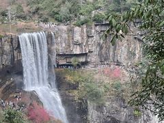-刘伯温故里景区百丈漈