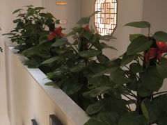 -手舒·采耳按摩·影院足道spa(莫愁湖东路店)