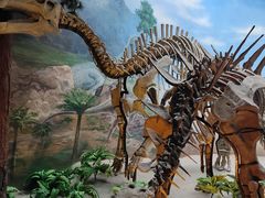 -延庆地质公园博物馆