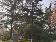 -木塔寺遗址生态公园