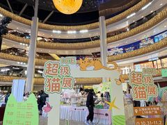 -上海长风大悦城