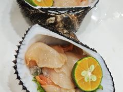 -小海丁