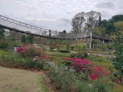 -东莞植物园