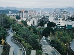 -福道