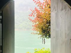 -三峡人家风景区