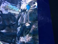 -厦门海底世界