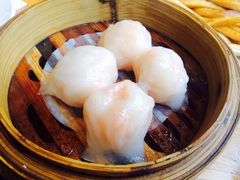 颐和潮汕海鲜砂锅粥-颐和•海鲜砂锅粥•啫啫煲(奥林匹克广场店)