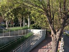 -大望京公园