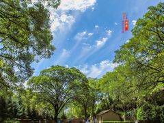 -延安杨家岭革命旧址