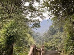 -峨眉山风景名胜区