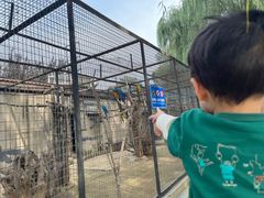 -石家庄市动物园