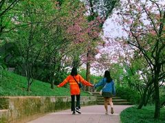 -南山植物园