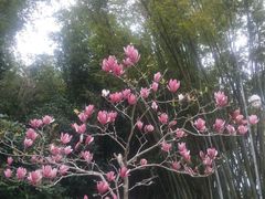 -桃花涧