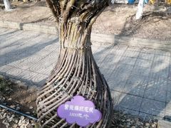 -武汉紫薇都市田园