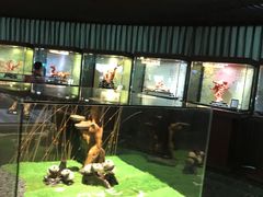 -绮丽珊瑚(台北101旗舰门市店)