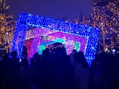 -飞凤山奥体公园