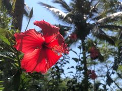 -三亚南山文化旅游区