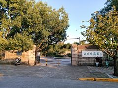-嘉定紫藤园