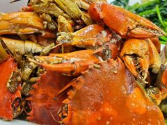 -莲花公园煎蟹(总店)