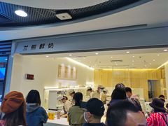 -兰熊鲜奶(西直门凯德mall店)