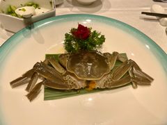 醉蟹-上海老饭店(北京分店)