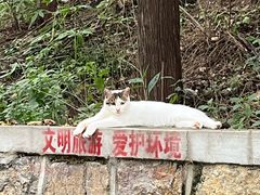 -四门塔风景区