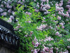 -惠山古镇·寄畅园